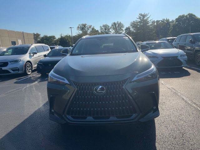 Certified 2025 Lexus NX 350h AWD w/ Cold Area Package image 2