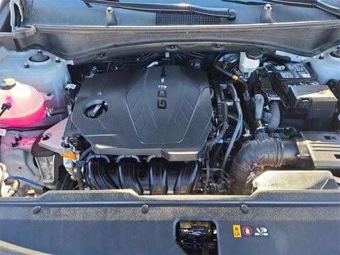 Used 2025 Kia Sportage X-Pro Prestige image 18