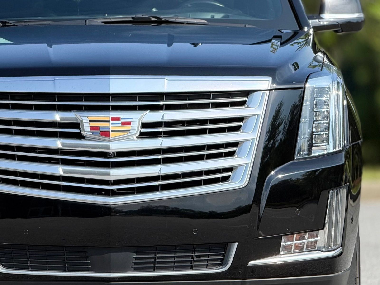 Used 2019 Cadillac Escalade Platinum RWD image 15