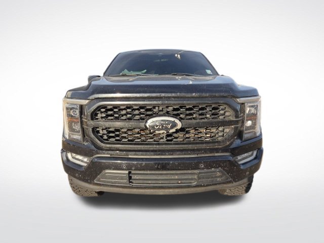 Used 2022 Ford F150 Platinum w/ Equipment Group 701A High RWD image 2