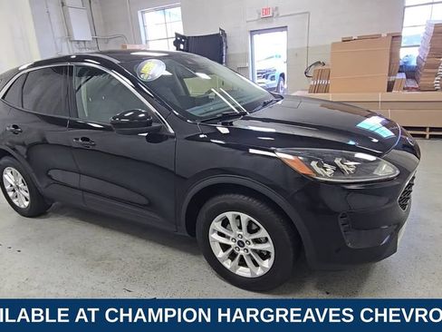 Used 2020 Ford Escape SE AWD/4WD image 2