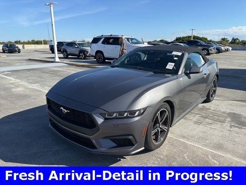 Used 2024 Ford Mustang Premium image 1