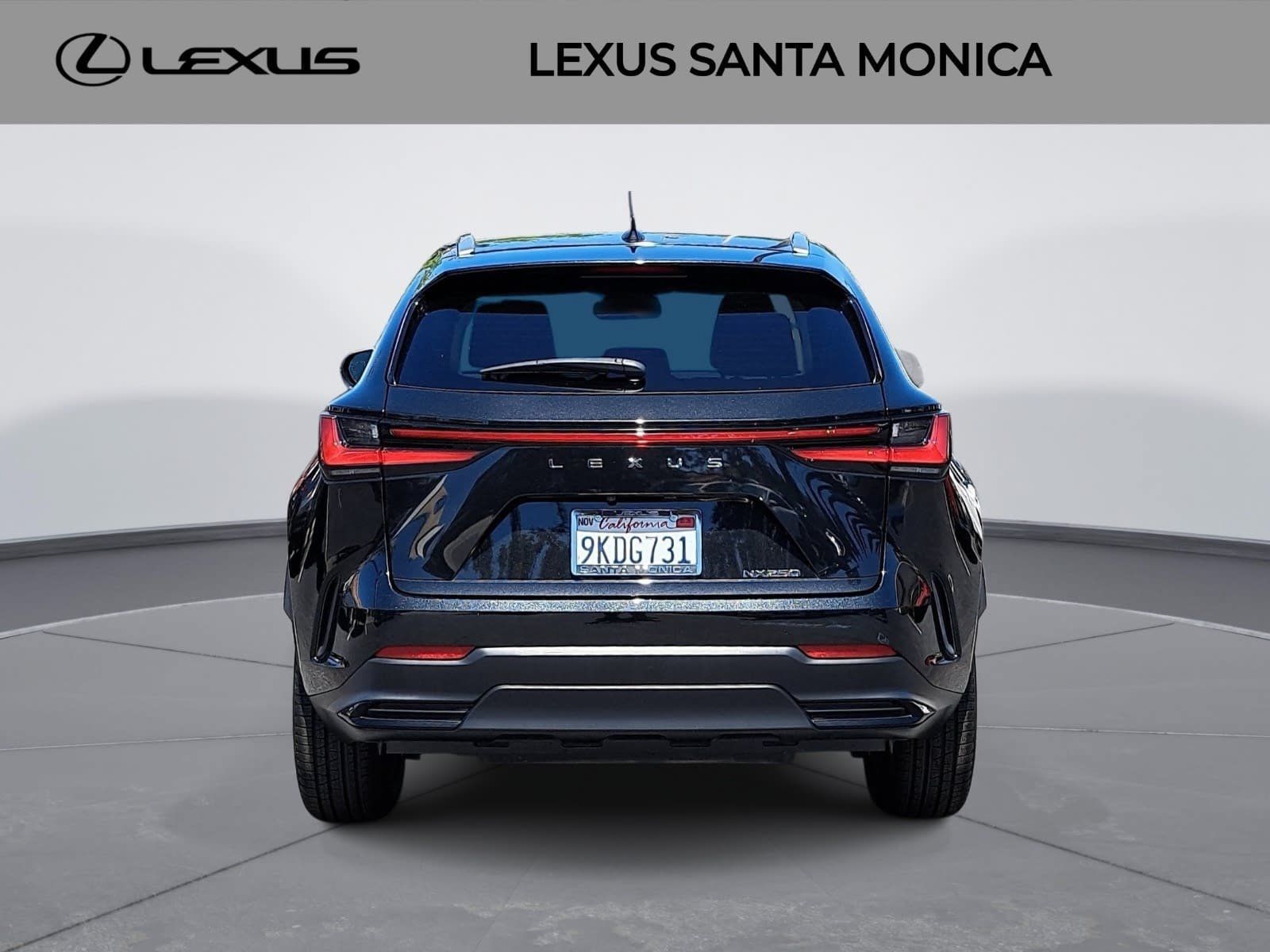 Used 2024 Lexus NX 250 FWD image 6
