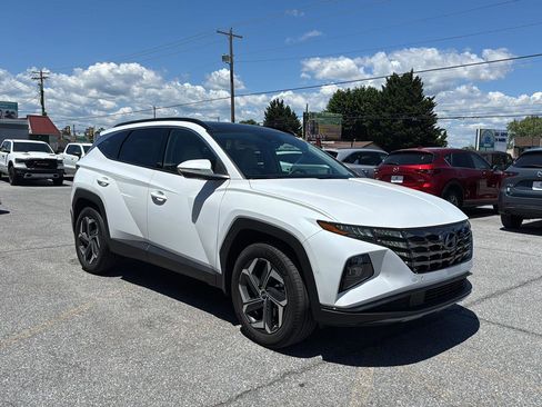 Used 2024 Hyundai Tucson Limited AWD/4WD image 7