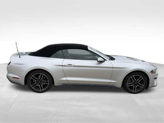 Used 2018 Ford Mustang Premium w/ Equipment Group 201A RWD image 7