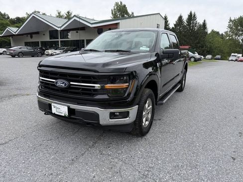 Used 2025 Ford F150 XLT w/ Equipment Group 301A Standard AWD/4WD image 1