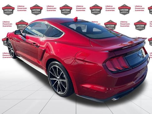 Used 2023 Ford Mustang Premium w/ Equipment Group 201A image 7