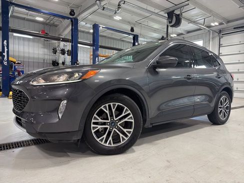 Used 2020 Ford Escape SEL FWD image 1