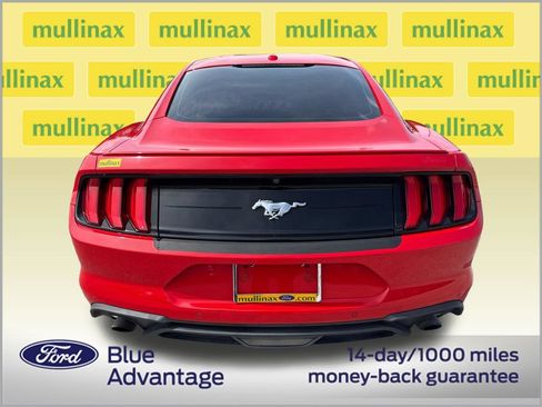 Used 2019 Ford Mustang Coupe w/ Equipment Group 101A RWD image 2