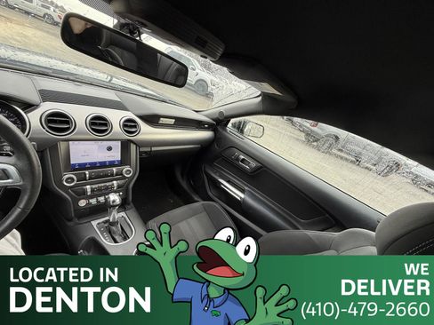 Used 2019 Ford Mustang Coupe w/ Equipment Group 101A image 15