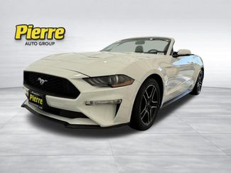 Used 2019 Ford Mustang Premium video 1
