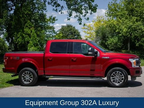 Used 2019 Ford F150 XLT w/ Equipment Group 302A Luxury AWD/4WD image 4