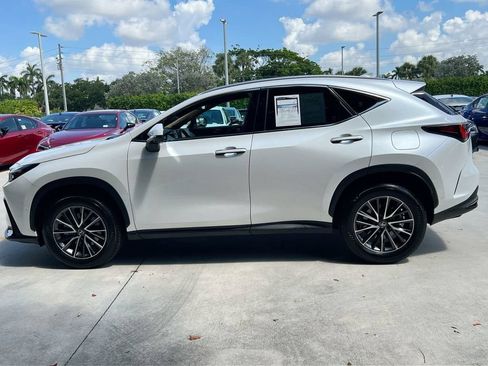Used 2025 Lexus NX 350h AWD w/ Cold Area Package image 4