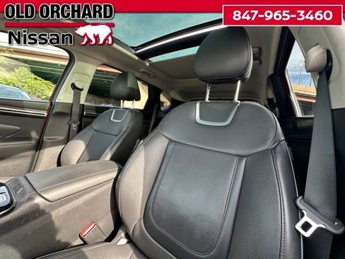 Used 2023 Hyundai Tucson Limited AWD/4WD image 11