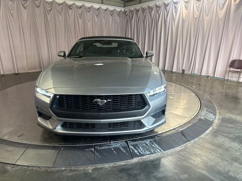 Used 2025 Ford Mustang Premium RWD image 2
