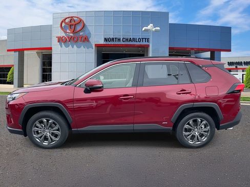 Used 2023 Toyota RAV4 XLE Premium image 7
