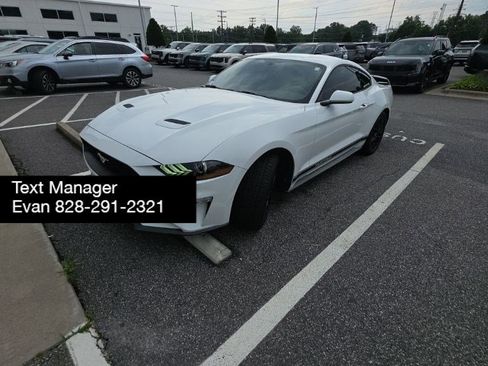 Used 2019 Ford Mustang Coupe w/ Equipment Group 101A RWD image 2
