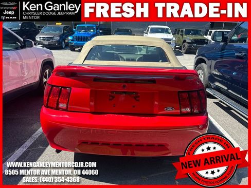Used 2003 Ford Mustang Convertible RWD image 9