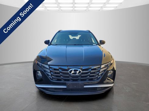Used 2024 Hyundai Tucson Blue AWD/4WD image 2