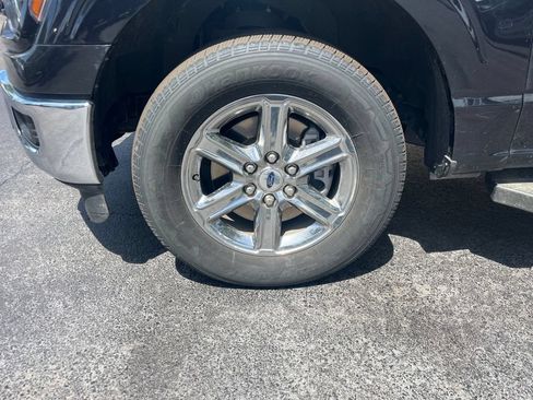 Used 2025 Ford F150 XLT w/ Equipment Group 301A Standard RWD image 10