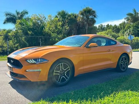 Used 2019 Ford Mustang Premium w/ Equipment Group 201A RWD image 8