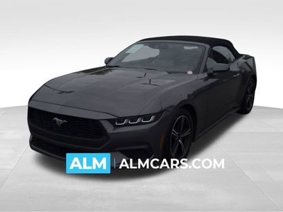 Used 2024 Ford Mustang Premium