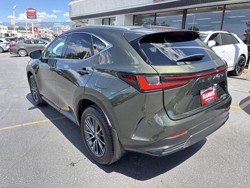 Used 2025 Lexus NX 350h AWD w/ Cold Area Package image 5