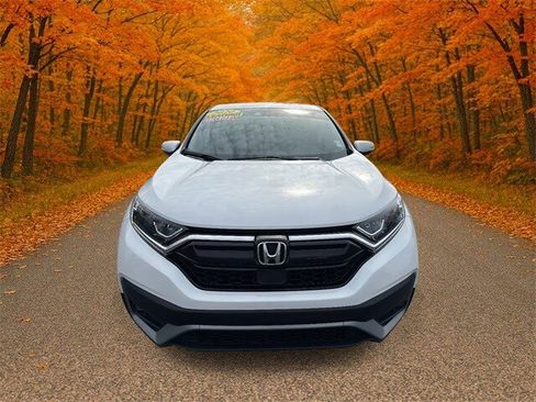 Used 2020 Honda CR-V EX-L image 2