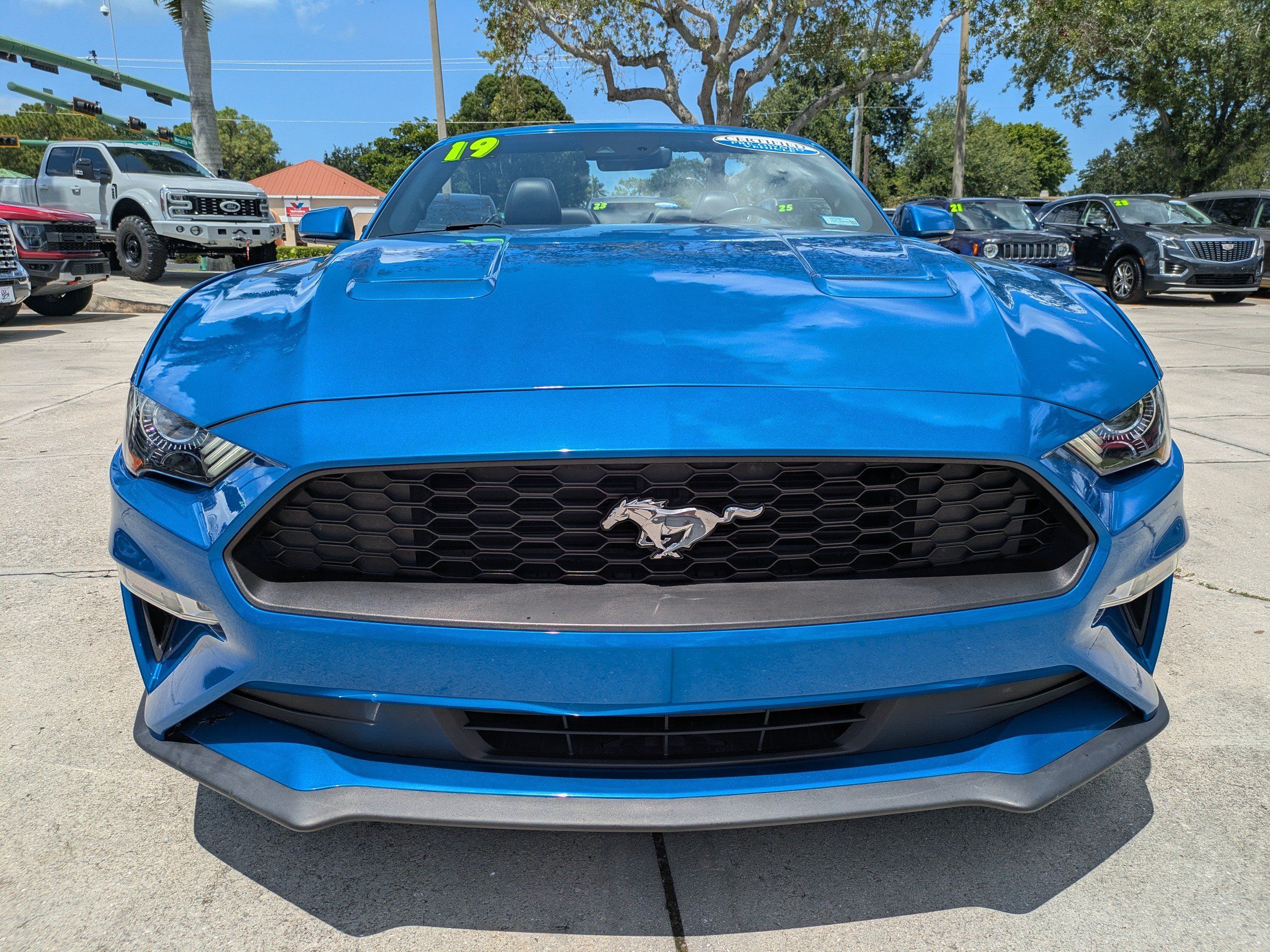 Used 2019 Ford Mustang Premium w/ Equipment Group 201A RWD image 8