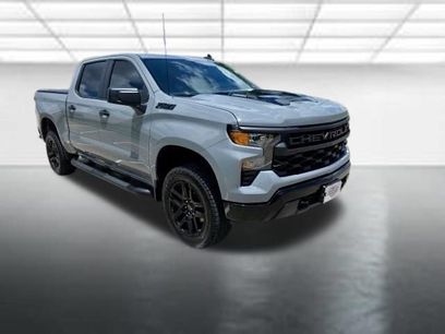 Used 2024 Chevrolet Silverado 1500 Custom Trail Boss w/ Turbomax Blackout Package