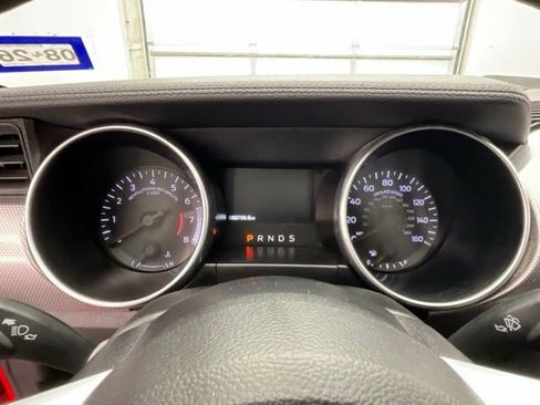 Used 2019 Ford Mustang EcoBoost w/ Equipment Group 101A image 6