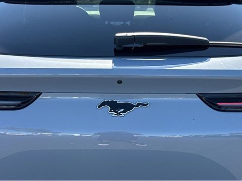 New 2025 Ford Mustang Mach-E Premium w/ Interior Protection Package image 39