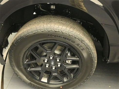 New 2025 Ford F150 STX w/ STX Black Appearance Package image 16