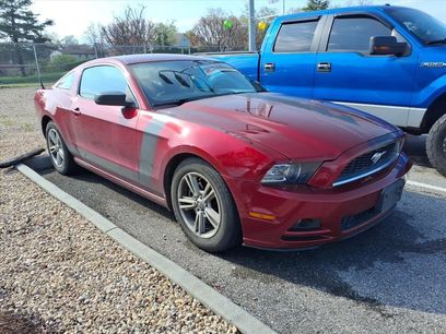 Used 2014 Ford Mustang Coupe w/ Equipment Group 102A