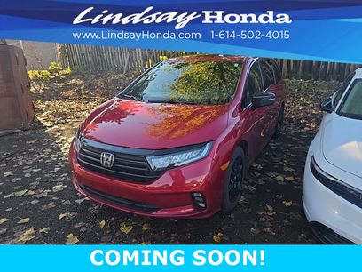 Certified 2024 Honda Odyssey Sport
