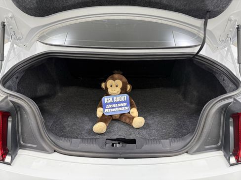 Used 2018 Ford Mustang Premium image 10