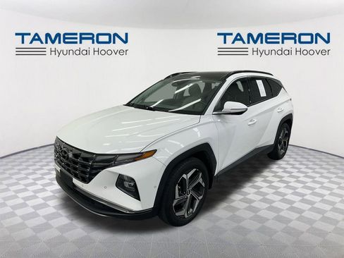Used 2024 Hyundai Tucson Limited image 1