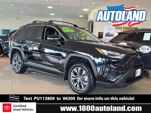 Certified 2023 Toyota RAV4 XLE Premium image 1