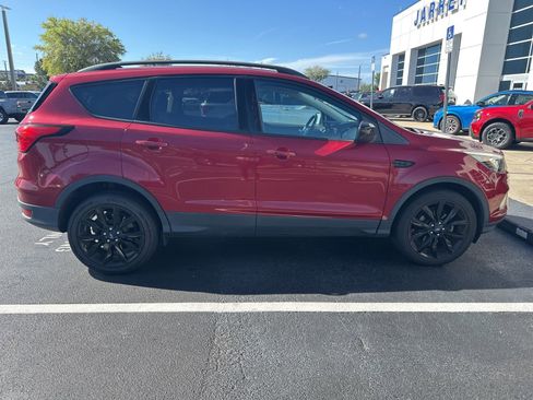 Used 2019 Ford Escape SE FWD image 6