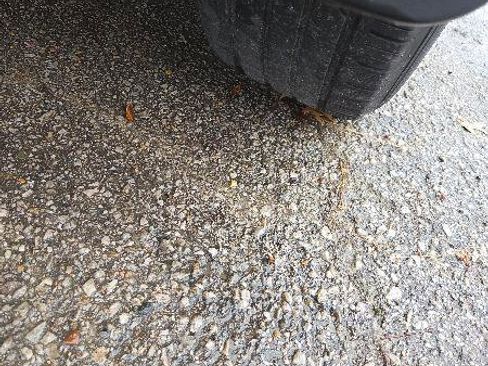 Used 2012 Toyota RAV4 FWD w/ Upgrade Value Pkg image 17