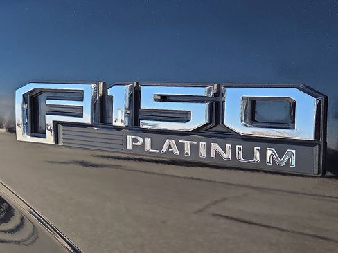 Used 2019 Ford F150 Platinum image 9