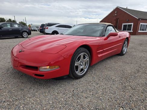 Used 1998 Chevrolet Corvette Convertible image 3