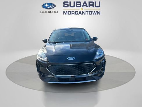 Used 2020 Ford Escape SE image 2