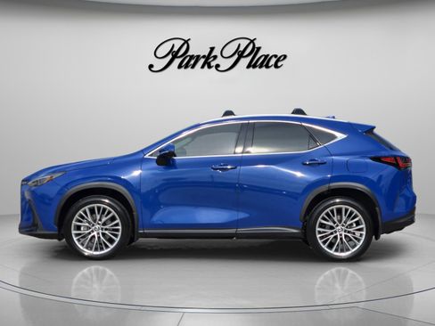 Certified 2025 Lexus NX 350 AWD w/ Cold Area Package image 2