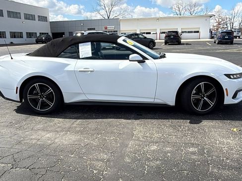 Used 2024 Ford Mustang Premium image 8