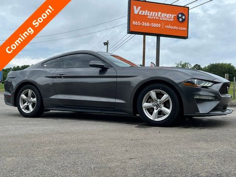 Used 2019 Ford Mustang Coupe RWD image 1