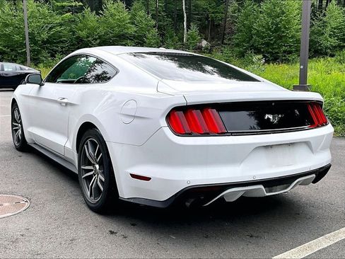 Used 2015 Ford Mustang Premium w/ Equipment Group 201A RWD image 6