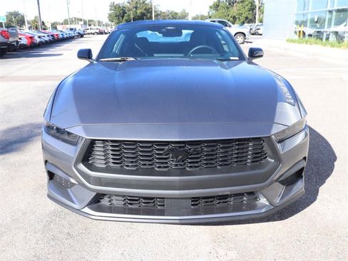 New 2026 Ford Mustang EcoBoost w/ Mustang Nite Pony Package image 4