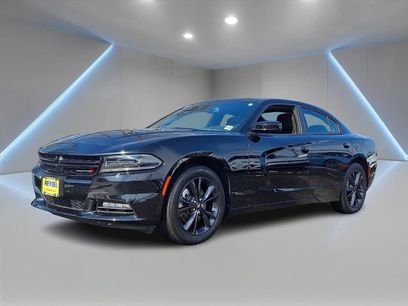 Used 2023 Dodge Charger SXT w/ Blacktop Special Edition