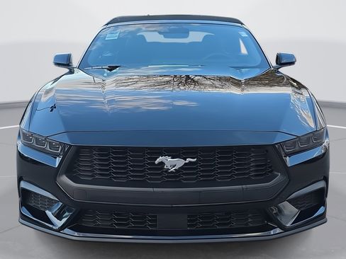 New 2026 Ford Mustang Premium image 2